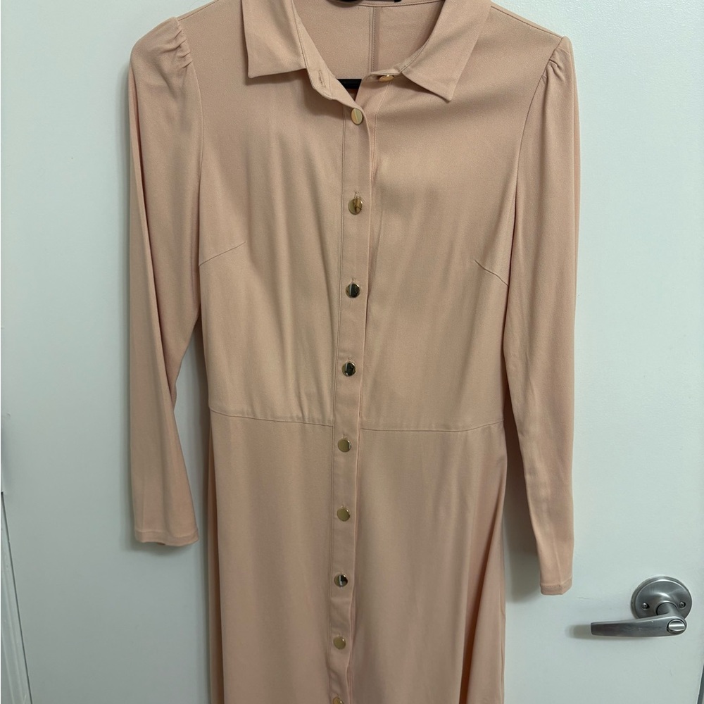 Chic Blush Button-Down Mini Dress - image 1